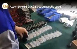 Assemble 60KG Electromagnetic Locks