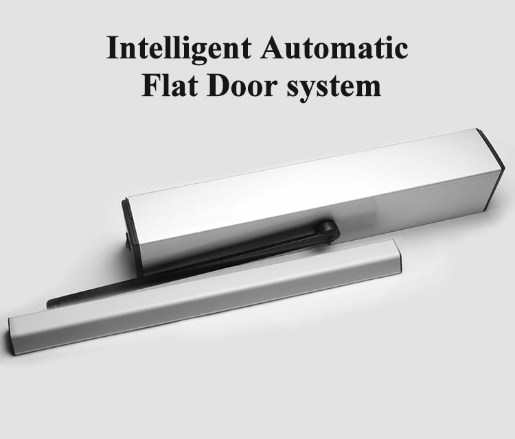 AC 220V/110V Max Weight 280kg Automatic Door Opener System For Wooden