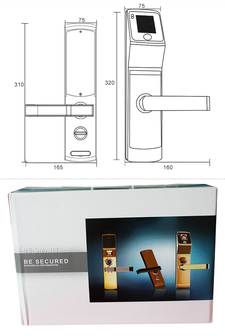 Face Recognition Standalone door lock-Iface 304 Face Recognition Standalone door lock-Iface 304