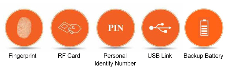 Smart fingerprint attendance and access control all-in-one machine- TM1100