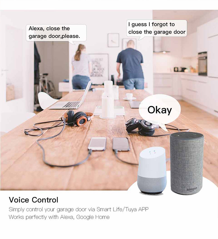 WiFi Door Opener Controller