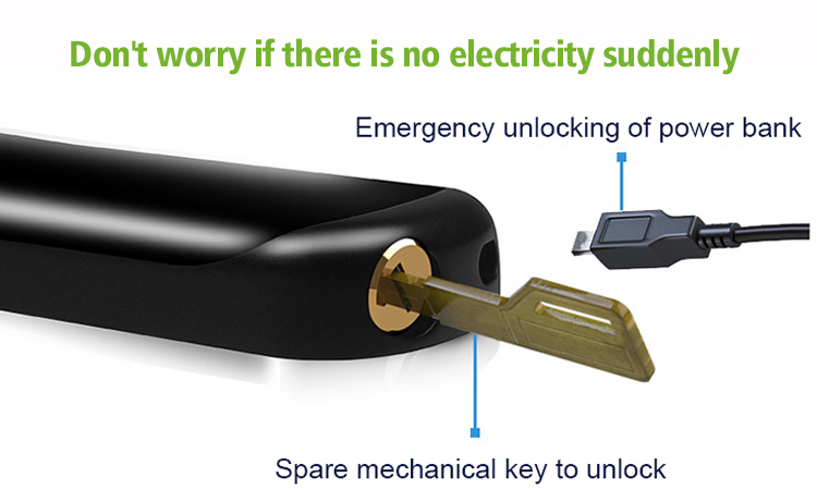 Tuya Fingerprint Door lock