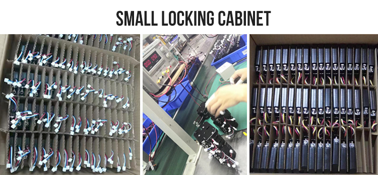 Small Locking Cabinet