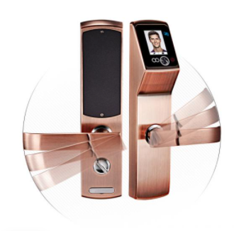 Face Recognition Standalone Door Lock