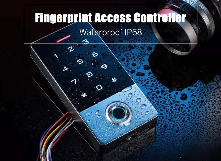 fingerprint recognition