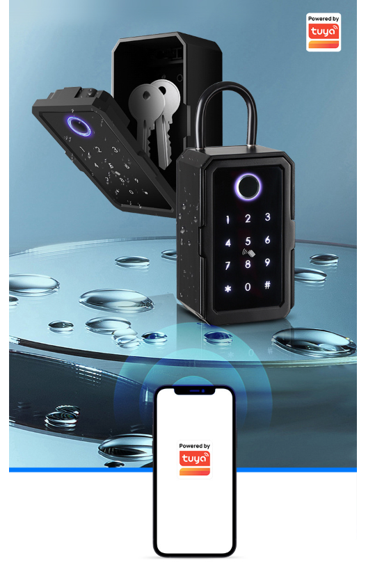 App Remote Access Wall Mount Key Box