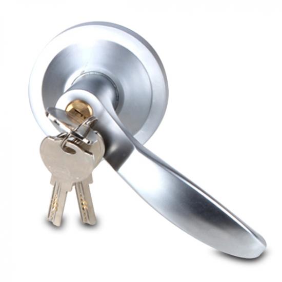 OEM Manufacturer Door Handle With Key -S4A Access Control