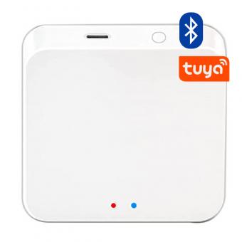 S4A Tuya Wifi Gateway