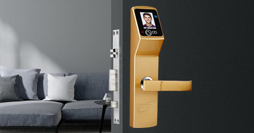 What is the face recognition access control system?