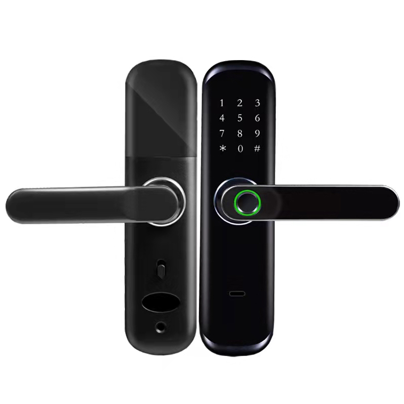 Can the Tuya WiFi Smart Door Lock temporary passwords be set for visitors? Can the validity period and number of uses of temporary passwords be customized?